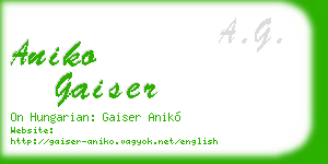 aniko gaiser business card